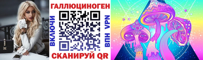 Галлюциногенные грибы MAGIC MUSHROOMS  где можно купить наркотик  Западная Двина 